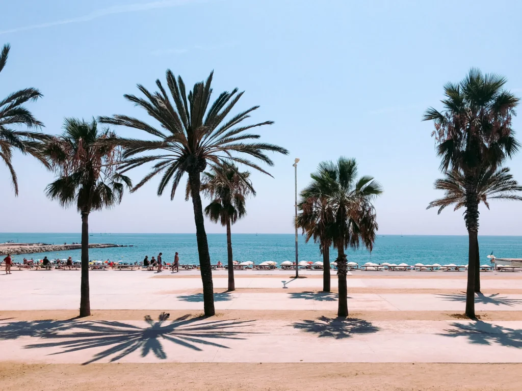 пляж Барселоны что делать, увидеть, необходимо посетить