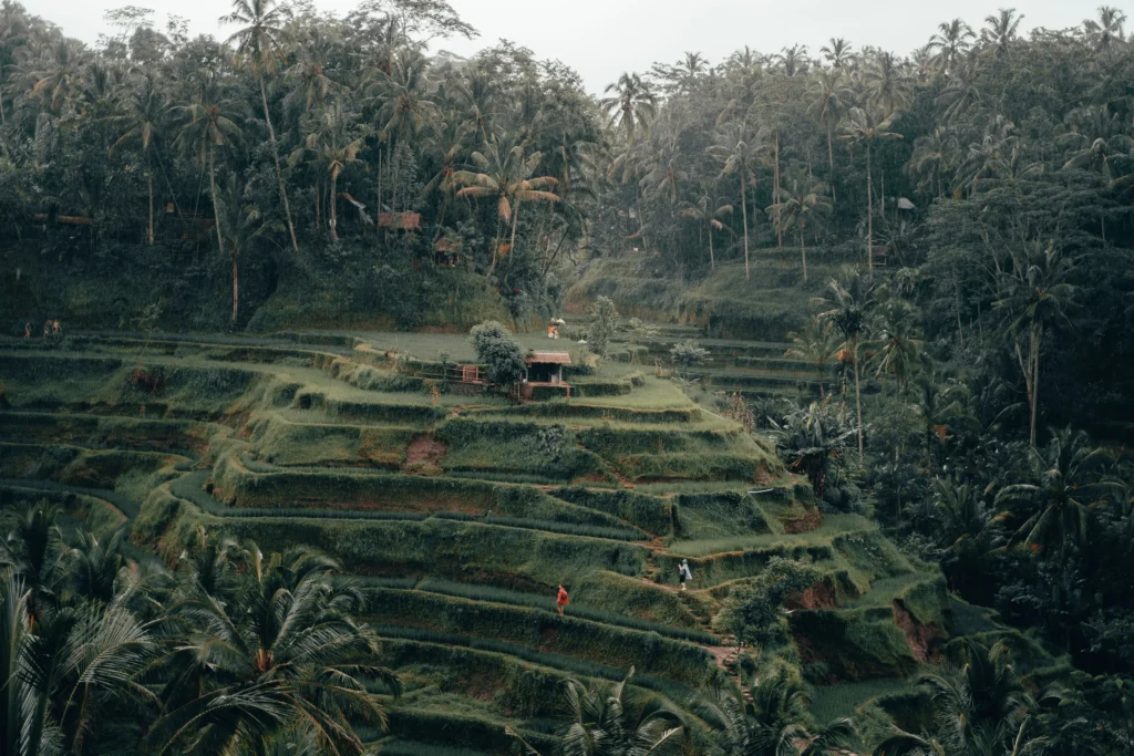 Где остановиться в Убуде или Тегаллаланге на Бали, Индонезия
